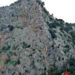 Numero 2 (codina di topo)