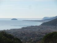 Panorama dal Bric Cinque Alberi