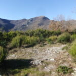 In cima al Poggio san Martino con dietro il Carmo 