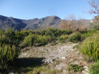 In cima al Poggio san Martino con dietro il Carmo 