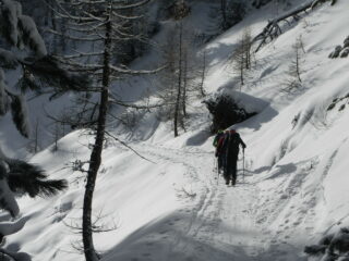 in salita verso Capanna Mautino