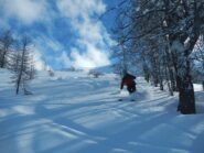 neve polverosa anche nel bosco