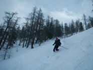 nella parte alta del bosco non mancano   tratti aperti