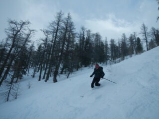 nella parte alta del bosco non mancano   tratti aperti