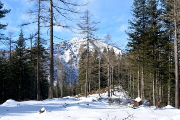 L'unica parziale apertura da P.ta Tre Valli.