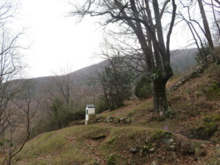 Poco sopra Savarino