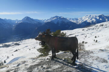 una delle opere di Siro Vierin lungo il percorso verso il rifugio del Fallere