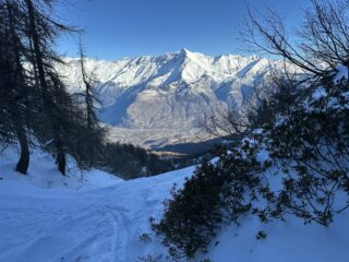 uno sguardo verso la valle del Moncenisio con Rocciamelone che svetta