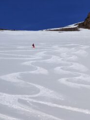 Prima parte della discesa su 20cm di fresca