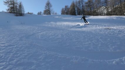 Nel bosco