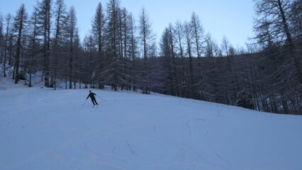 Parte bassa nel bosco