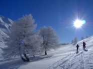 Alberi imbiancati alla partenza