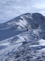 la dorsale spellachiata