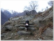 La mulattiera di salita 