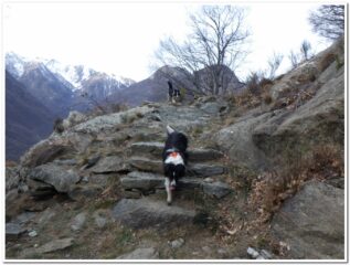 La mulattiera di salita 