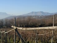 Verso i monti.