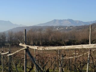 Verso i monti.