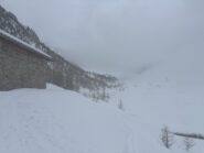 Migliorero sullo sfonfo