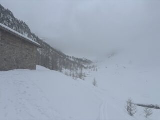 Migliorero sullo sfonfo