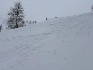 In compendo Neve Power