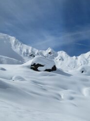 neve perfetta