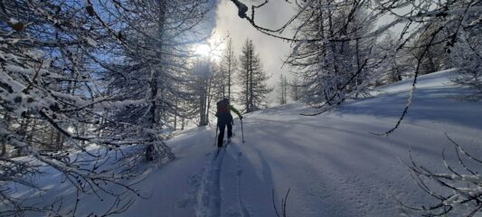 Si torna su