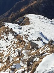 Scendiamo dal sentiero fino a Pian Serrada