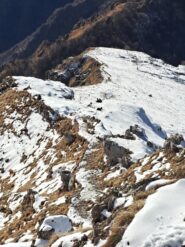 Scendiamo dal sentiero fino a Pian Serrada