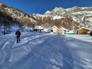 pedimonte