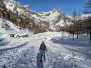alpe misanco