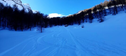 Verso la parte bassa nel bosco