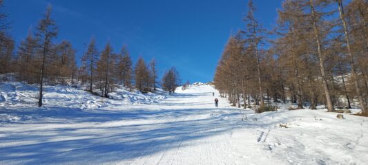 Salita lungo le piste