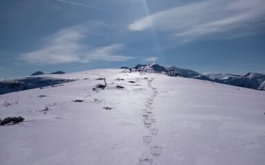 neve portante verso Cima Robert