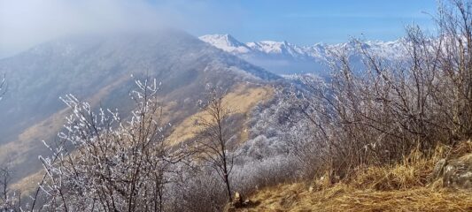Discesa al colletto e alla strada