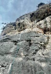 Molto bello con uscita forzuta