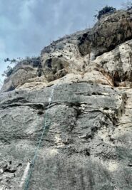 Molto bello con uscita forzuta