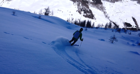 Pendii prima del bosco