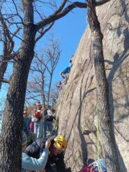 le placche del settore alto