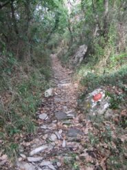 Mulattiera verso il Pegge