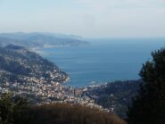 Rapallo da Caravaggio