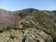 Sulla dorsale verso il Cordona