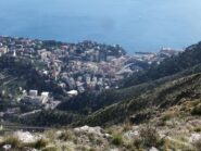 Nervi