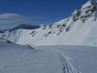La traccia della poesia di Gripenberg?
