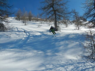 discesa su neve polverosa