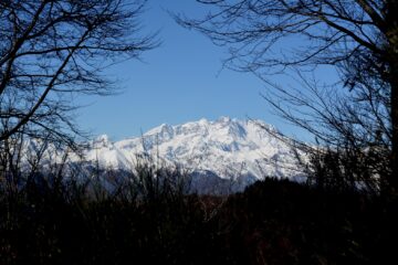 Il M.te Rosa dai pressi del Monte Vesso.