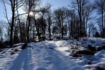 Verso la cima del M.te Vesso.