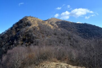 Dal Colmenacco. Da destra: Piz del Luser, quota 1495 e, credo, M.te San Primo innevato.