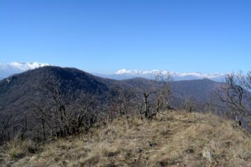 Dal Rubataboe il tratto tra il Pietraborga e la Montagnazza.
