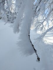 oplus_32