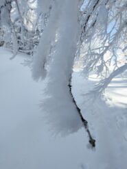 oplus_32